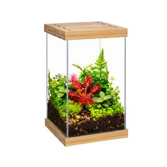 Aquael Selva Mini Terrarium T