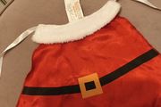 Small santa doggy coat/bandana