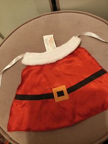 Small santa doggy coat/bandana