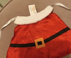 Small santa doggy coat/bandana