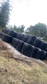 Baled silage