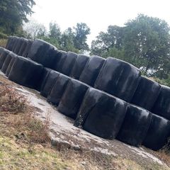 Baled silage