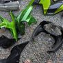ninja parts Image 3