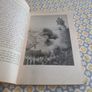 James and the Giant Peach (Paperback) Image 6