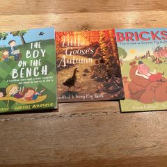 Kids Picture Story Books x3 - Bricks, Little Goose & Boy on the Bench
