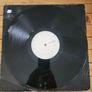 The Quick Rhythm Of The Jungle To Prove My Love 12 inch Promo White Label Image 2