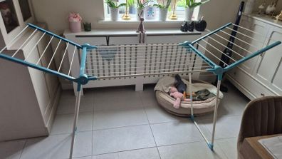 drying rack