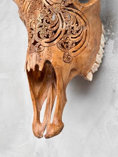 harley skull