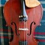 violin Image 4