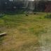 Somo90