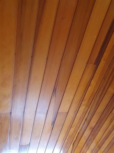 Parana pine boards