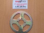 Rear Sprocket 49t T8f 8mm