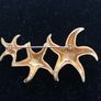 brooch Image 3