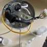 Ceiling Light Image 2