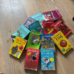 Children Books David MCWalliams
