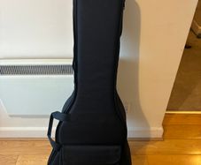 Acoustic guitar gig bag