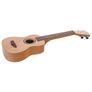 ukulele kids Image 2