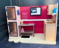 Veterinary play set