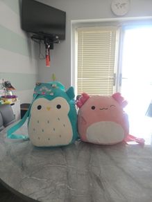 2 squishmallow backpacks