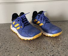 Astro runners