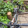 mountain bike Image 4