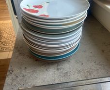 20 dinner plates