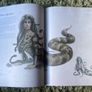 Mythical Beasts: An Artist's Field Guide to Designing Fantasy Creatures Image 4
