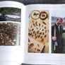 The Angler in Ireland/Game,Coarse & Sea/ Ken Whelan Image 8