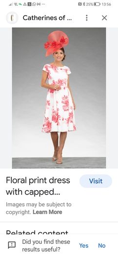 Wedding occasionwear dress 14