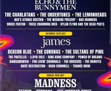 Forest Fest - Weekend and Camper