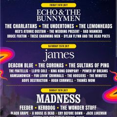Forest Fest - Weekend and Camper