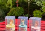 Fairy Toothbox