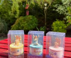 Fairy Toothbox