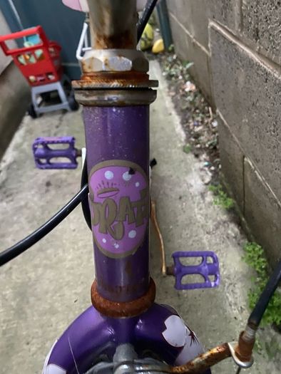kids bratz bike
