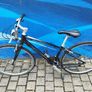 Giant Escape Hybrid Bike Image 5