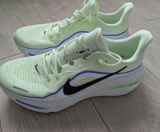 Nike winflo 12