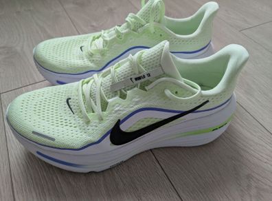 Nike winflo 12