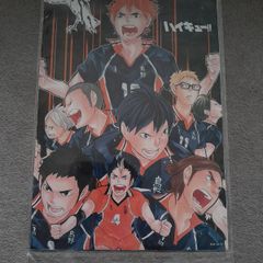 Anime posters and keychains