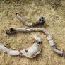Subaru Legacy B4 Rsk Parts Image 3