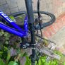 Frog Bike Image 4