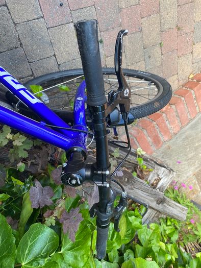 Frog Bike