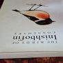 The Birds of Inisbofin, Connemara /Tim Gordon / 2005 Image 3