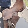 Equestrian Saddles x 6 Image 5