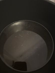 guppy