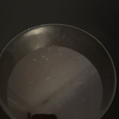 guppy