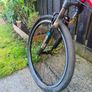 bike Image 6