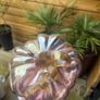 Blown glass Pumpkin Image 3