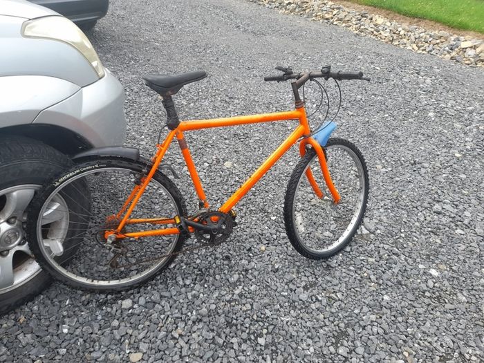 Adult Mountain Bike