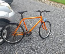 Adult Mountain Bike