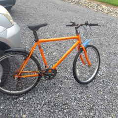 Adult Mountain Bike